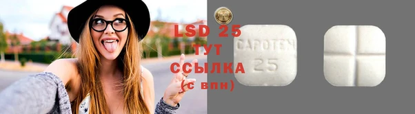 индика Алексин