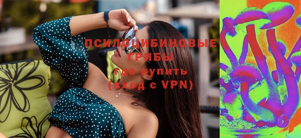 гашик Аркадак