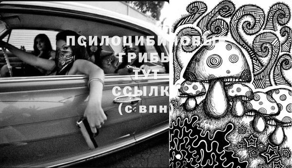 мет Арсеньев