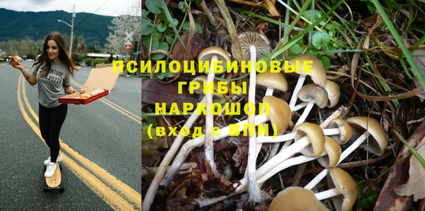 мет Арсеньев